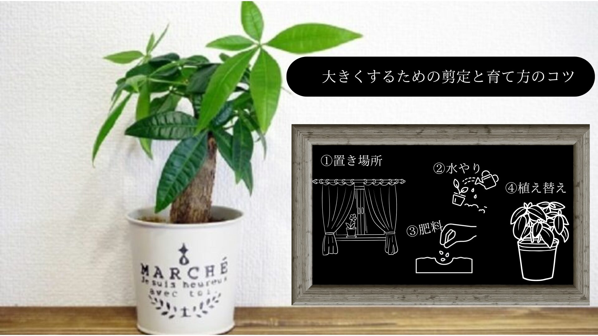 大きくするための剪定と育て方のコツ