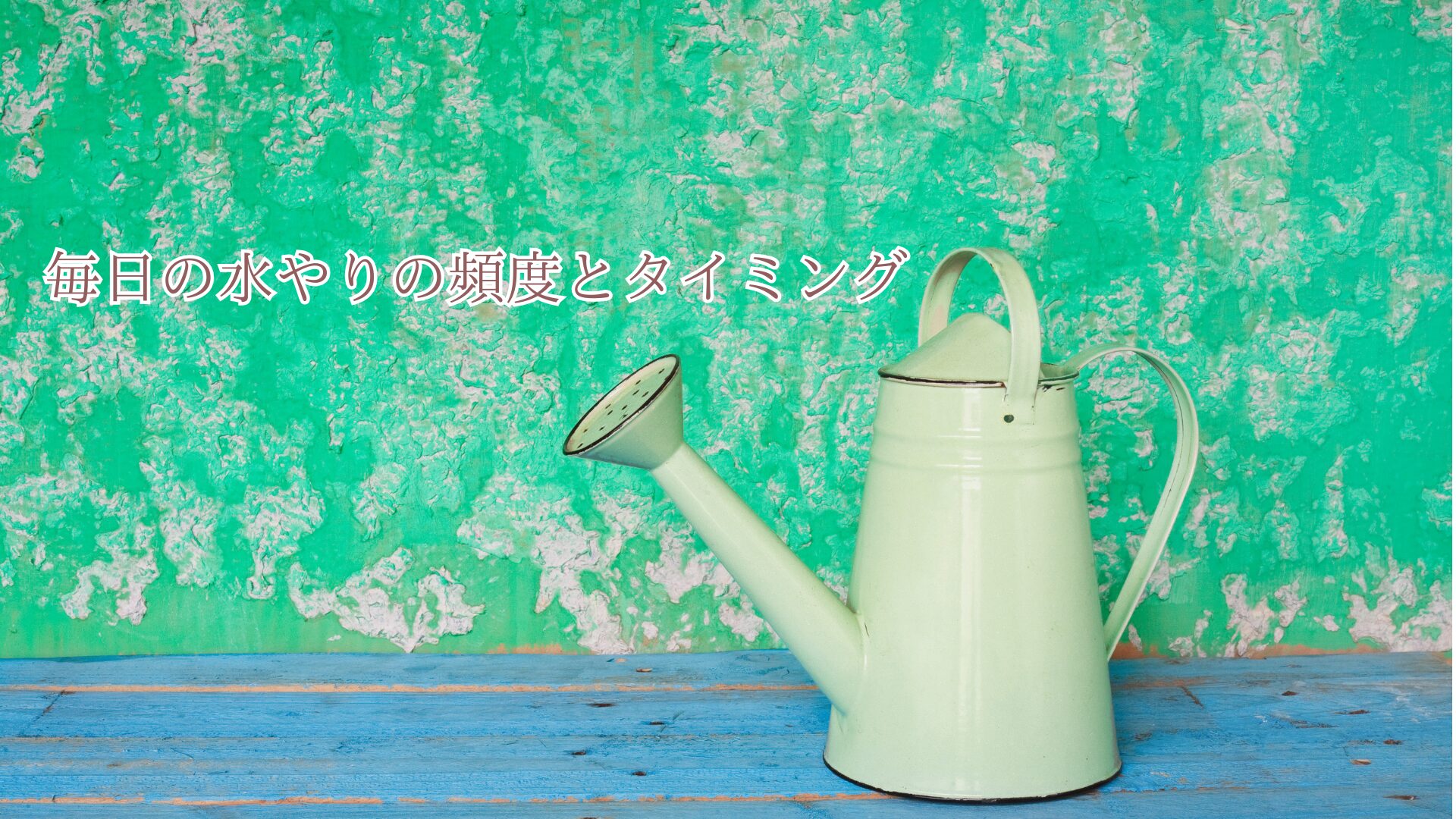毎日の水やりの頻度とタイミング