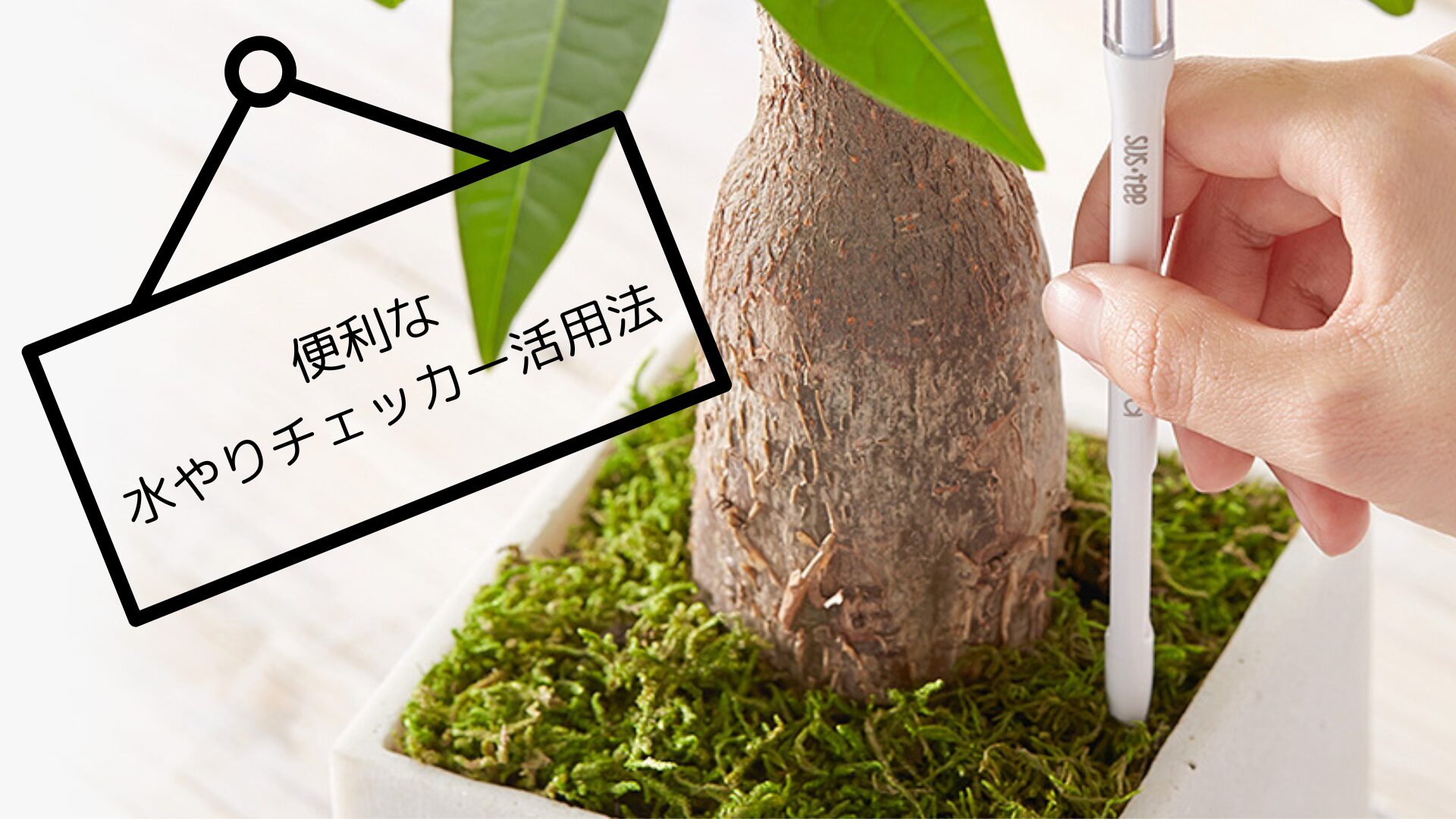 便利な水やりチェッカーの活用法