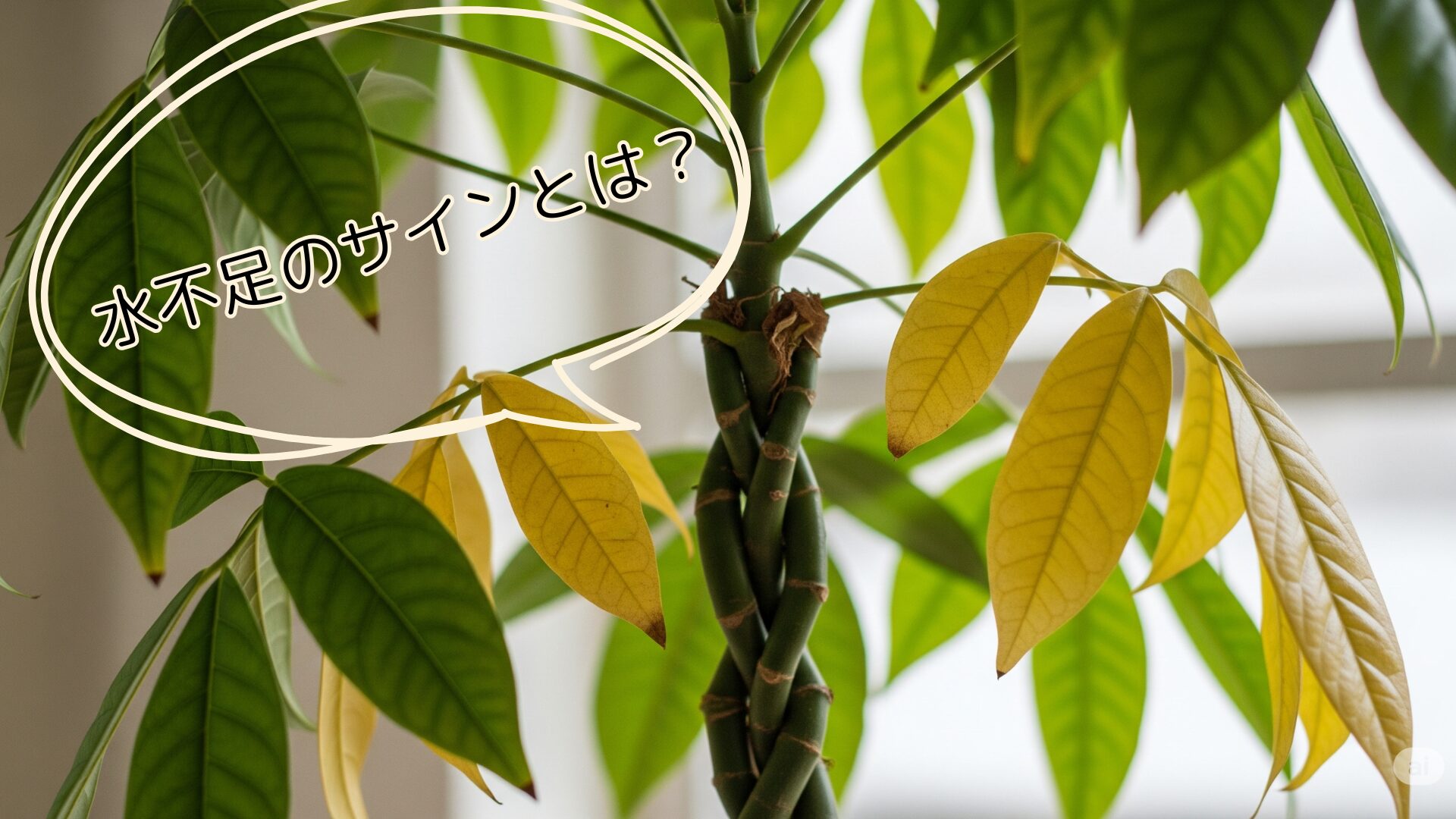水不足のサインとなる症状とは？