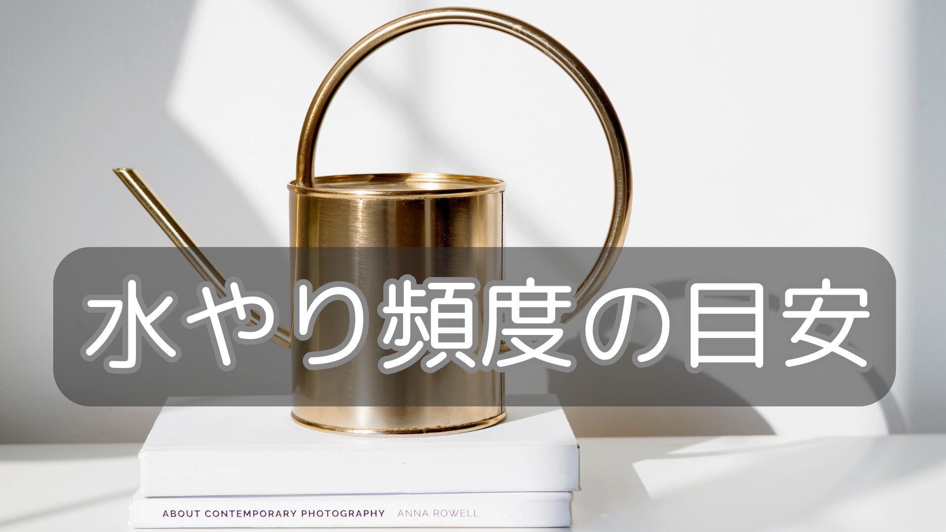 復活までの水やりは何日に1回が適切?
