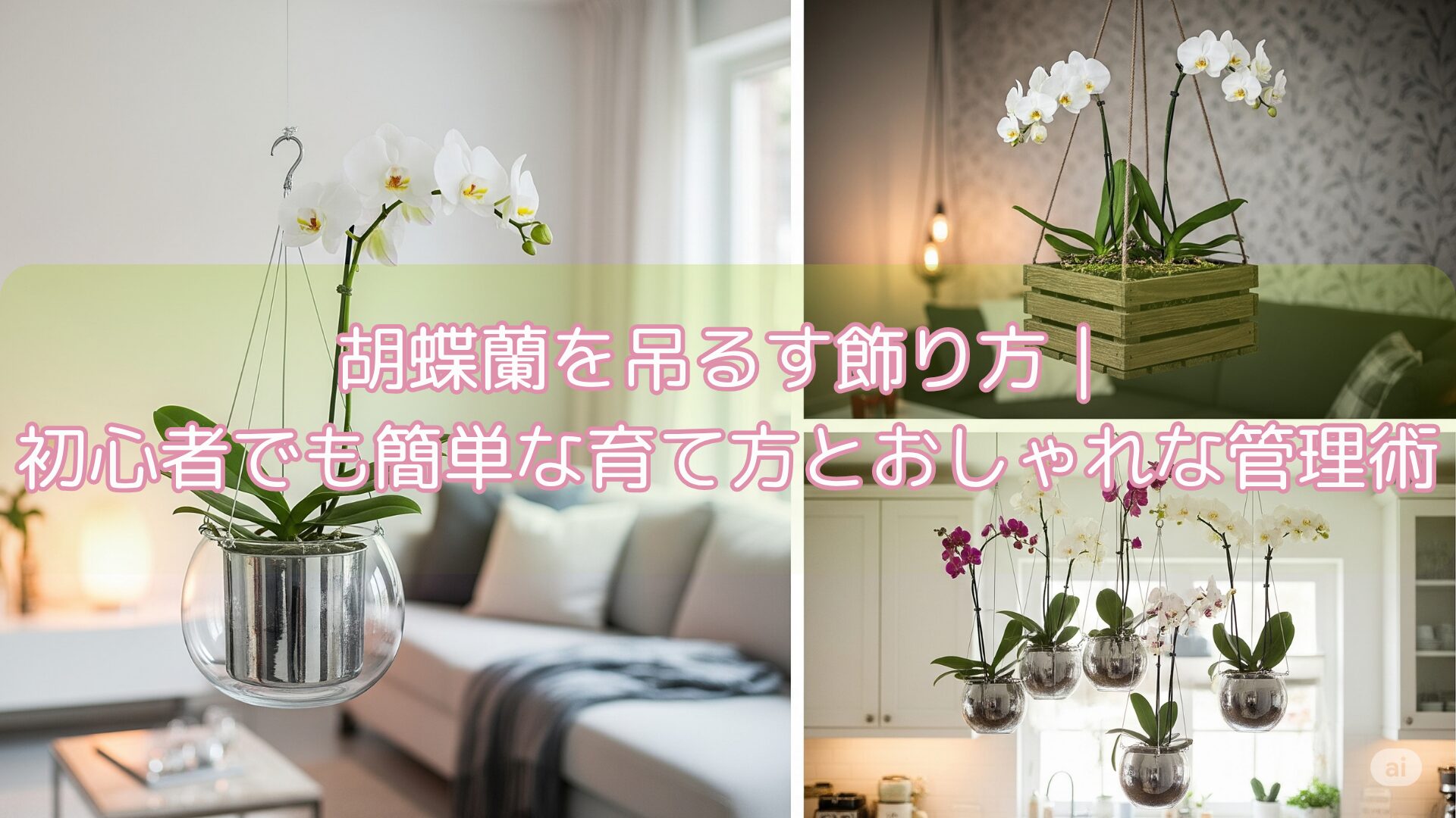 胡蝶蘭を吊るす飾り方|初心者でも簡単な育て方とおしゃれな管理術