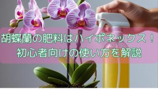 胡蝶蘭の肥料はハイポネックス！初心者向けの使い方を解説
