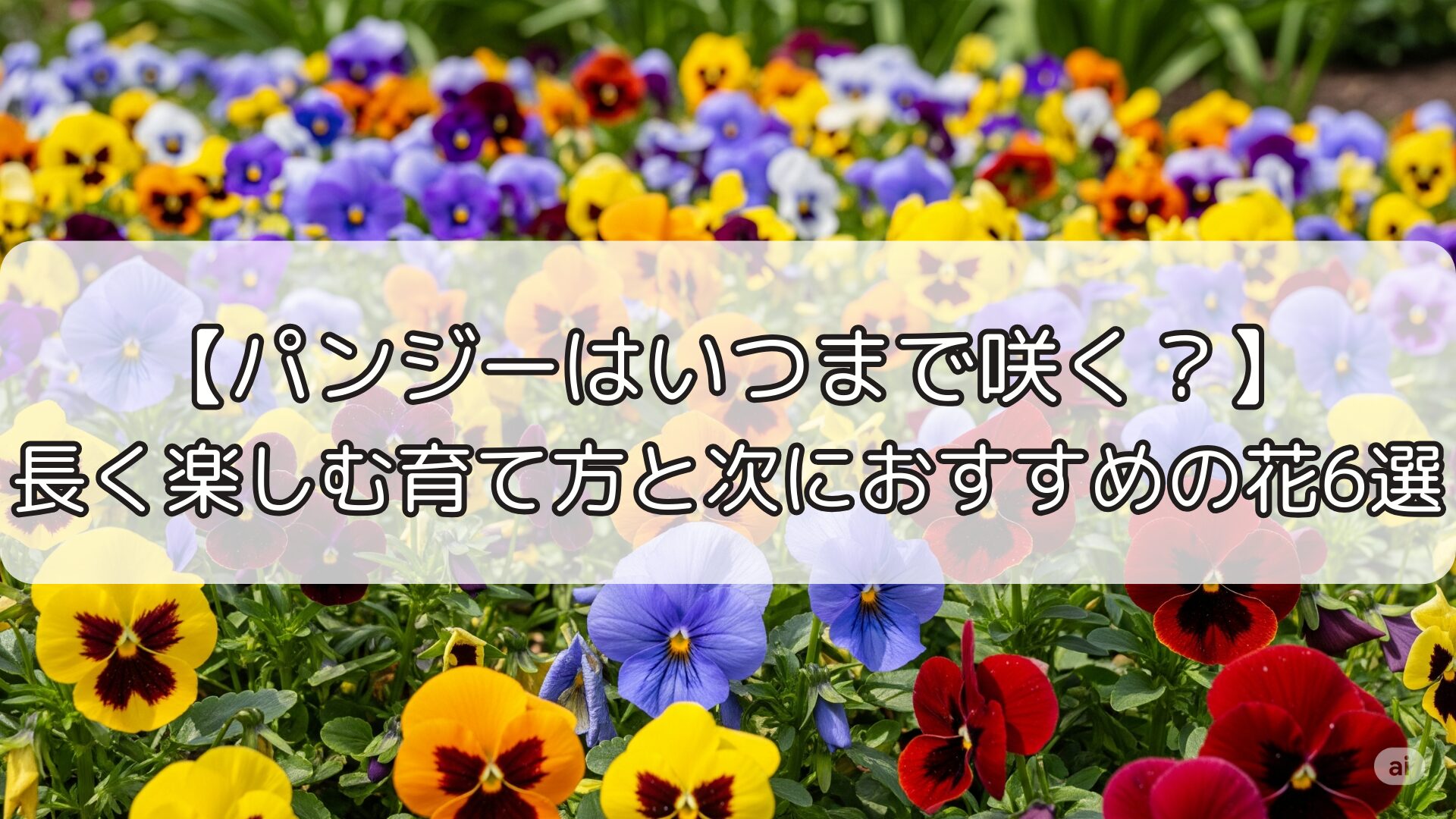 【パンジーはいつまで咲く?】長く楽しむ育て方と次におすすめの花6選