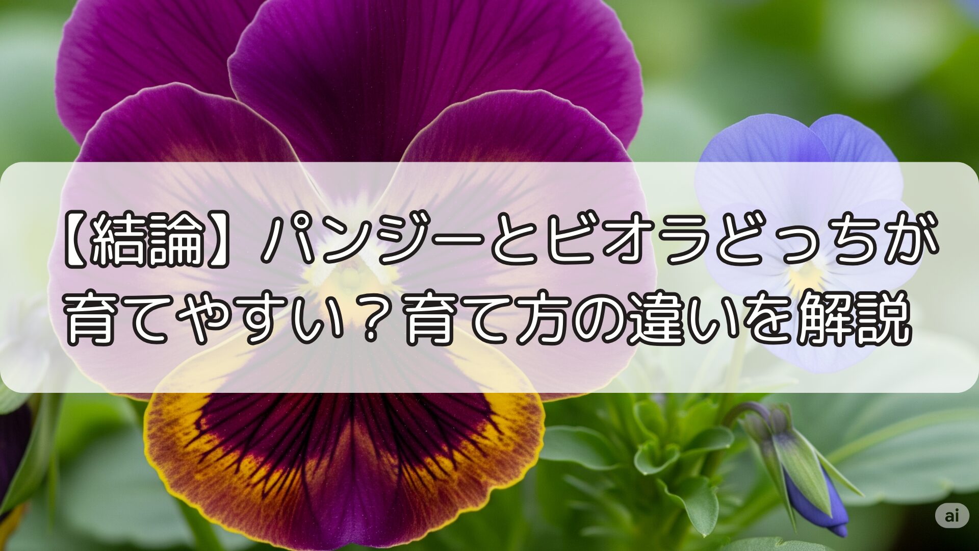 【結論】パンジーとビオラはどっちが育てやすい?育て方の違いを解説