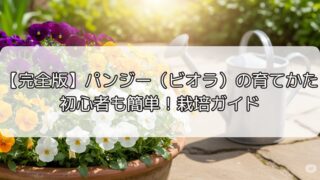 【完全版】パンジー（ビオラ）の育てかた｜初心者も簡単！栽培ガイド