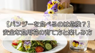 【パンジーを食べるのは危険？】安全な食用花の育て方と楽しみ方