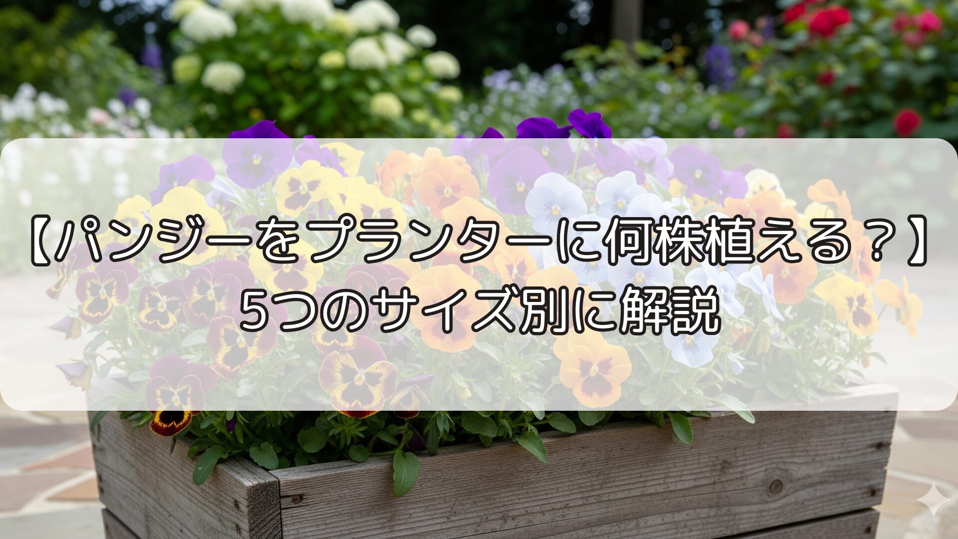 【パンジーをプランターに何株植える？】5つのサイズ別に解説