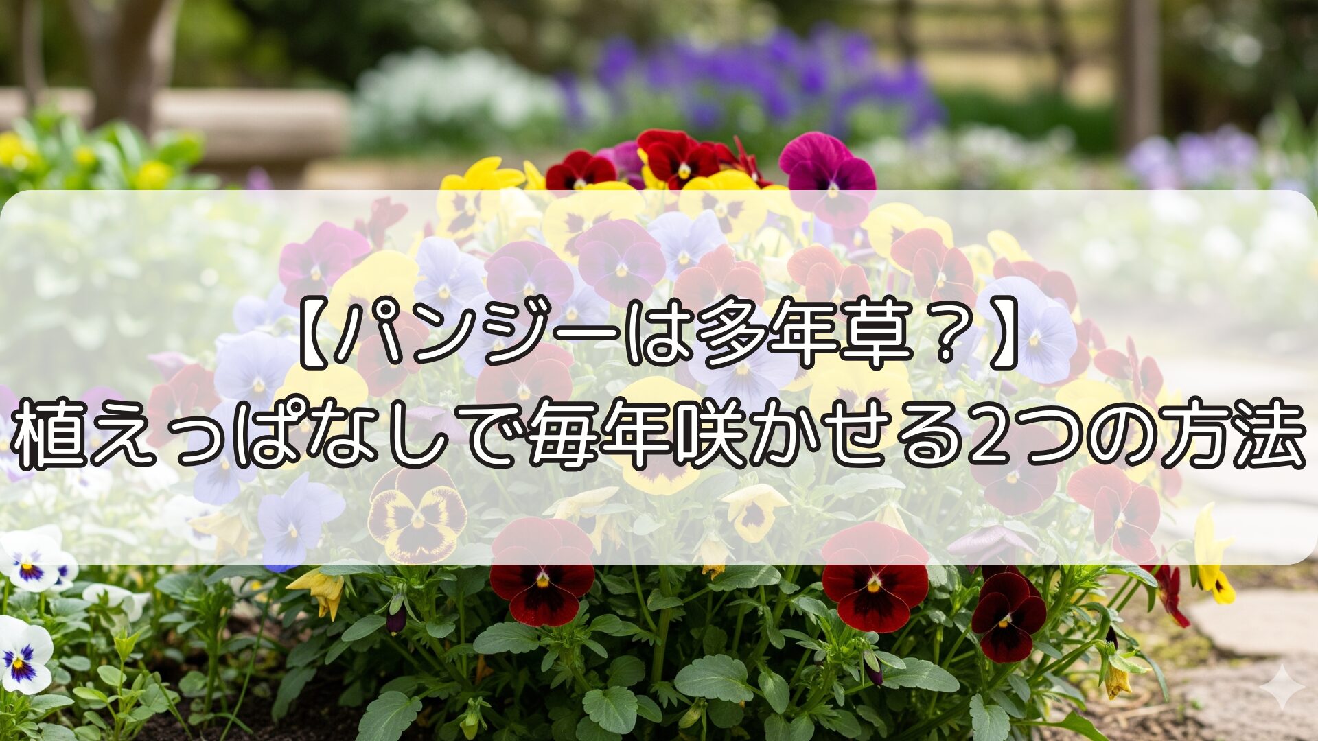 【パンジーは多年草？】植えっぱなしで毎年咲かせる2つの方法