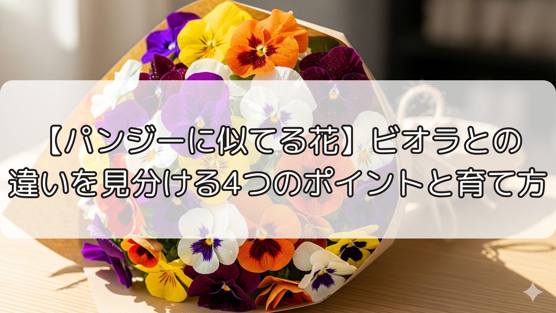 【パンジーに似てる花】ビオラとの違いを見分ける4つのポイントと育て方