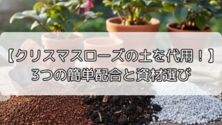 【クリスマスローズの土を代用!】3つの簡単配合と資材選び