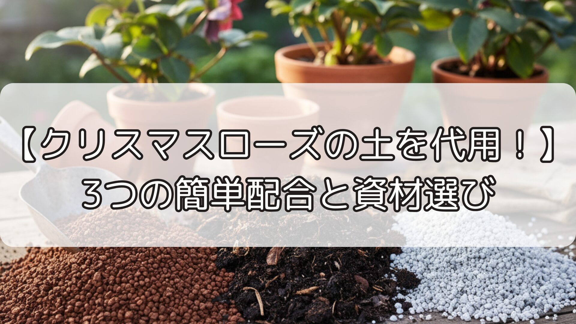 【クリスマスローズの土を代用！】3つの簡単配合と資材選び